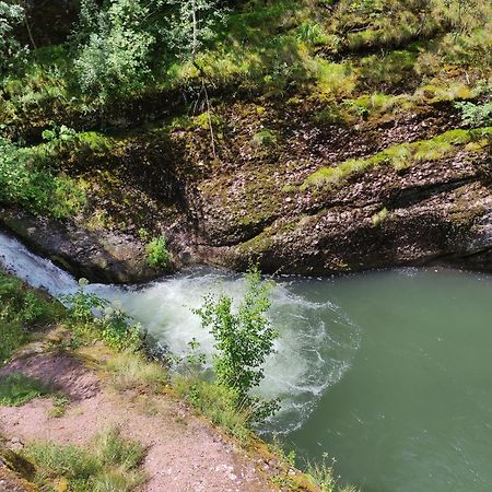 Vila Zapis - Zavojsko Jezero Pirot Kültér fotó