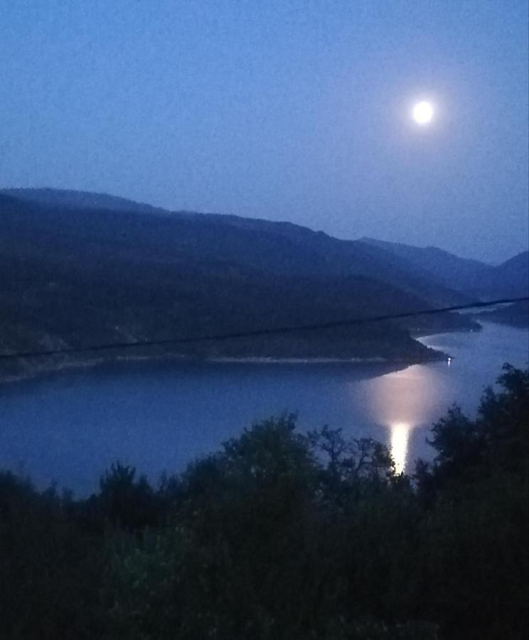 Vila Zapis - Zavojsko Jezero Pirot Kültér fotó