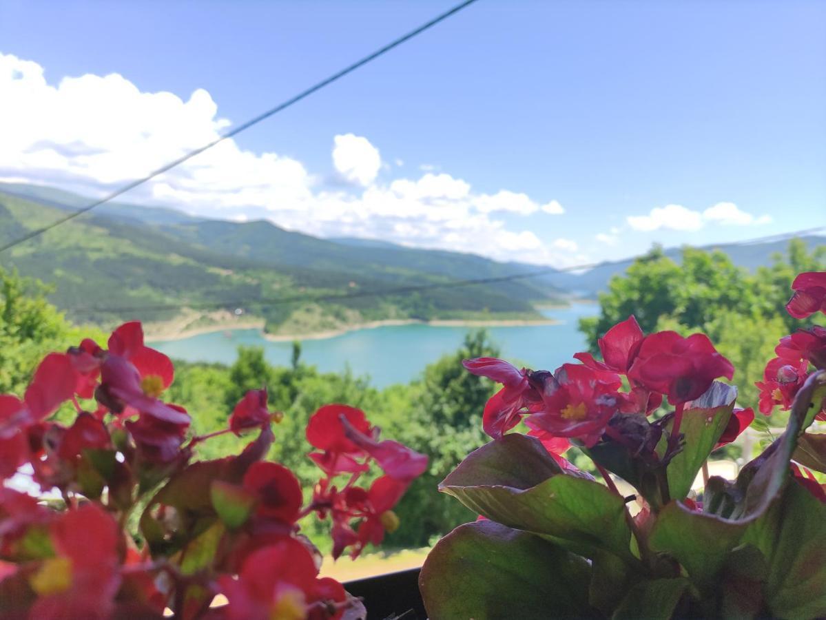 Vila Zapis - Zavojsko Jezero Pirot Kültér fotó