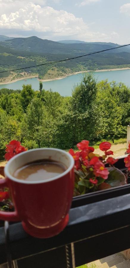 Vila Zapis - Zavojsko Jezero Pirot Kültér fotó