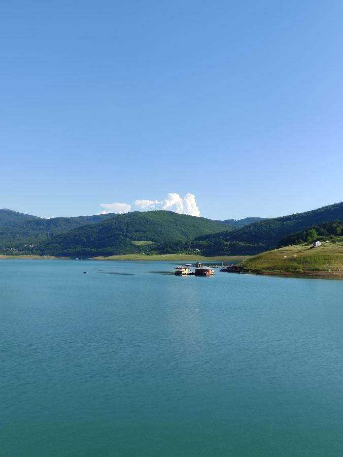 Vila Zapis - Zavojsko Jezero Pirot Kültér fotó