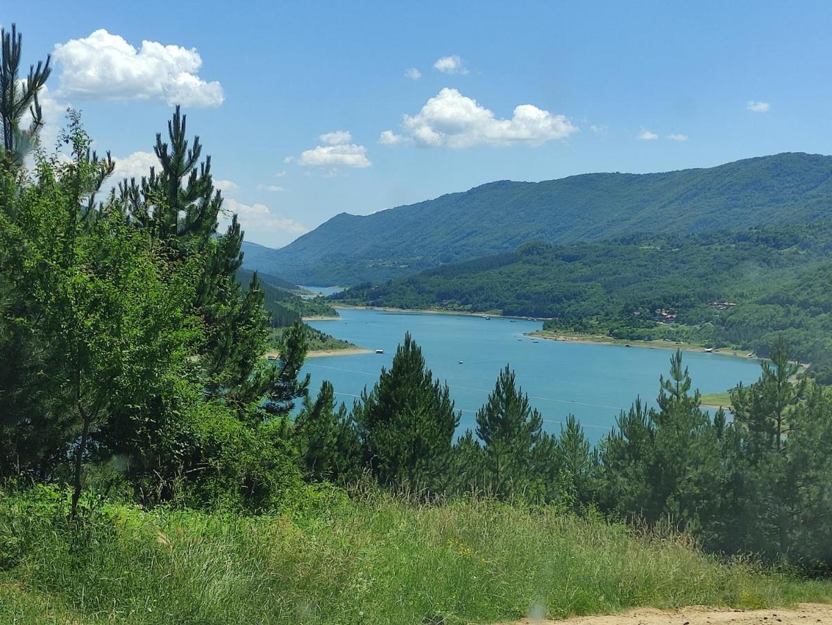Vila Zapis - Zavojsko Jezero Pirot Kültér fotó