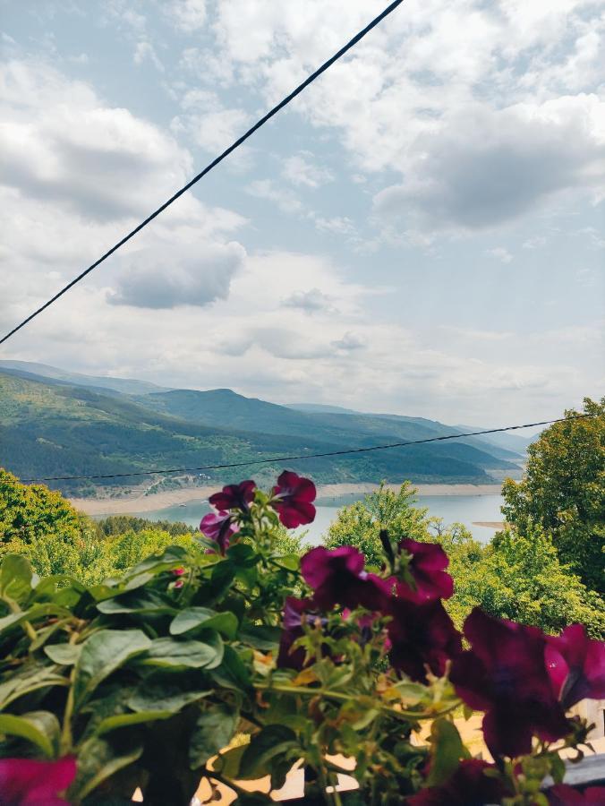 Vila Zapis - Zavojsko Jezero Pirot Kültér fotó