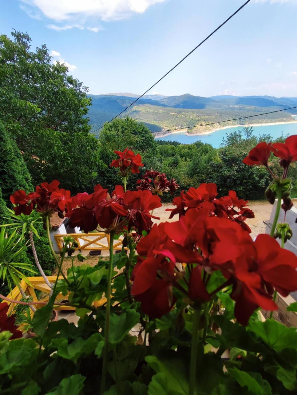 Vila Zapis - Zavojsko Jezero Pirot Kültér fotó